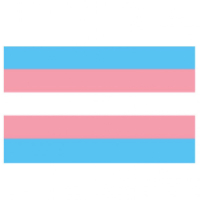 Aufkleber-Sticker - Transgender Pride-Flagge I 5 x 7,6-cm