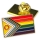 PRIDE - Premium Pin I Progress-Intersex-Regenbogen-Flagge I gold