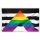 PRIDE-Flagge I Straight Ally I 90 x 150-cm